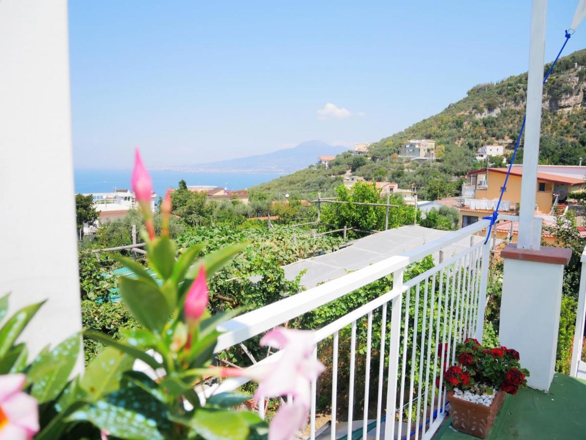 Olindo Apartment E Cristina Apartments Vico Equense Zewnętrze zdjęcie