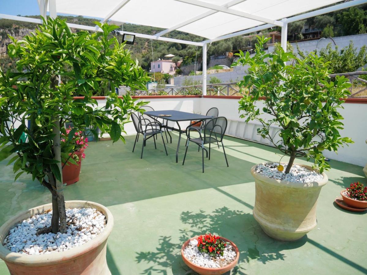 Olindo Apartment E Cristina Apartments Vico Equense Zewnętrze zdjęcie